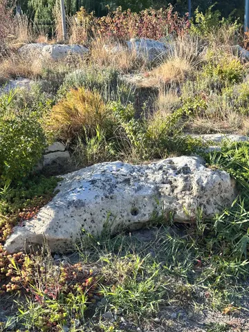 Валуны в парке Модеско, фото 2