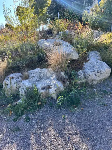 Валуны в парке Модеско, фото 7